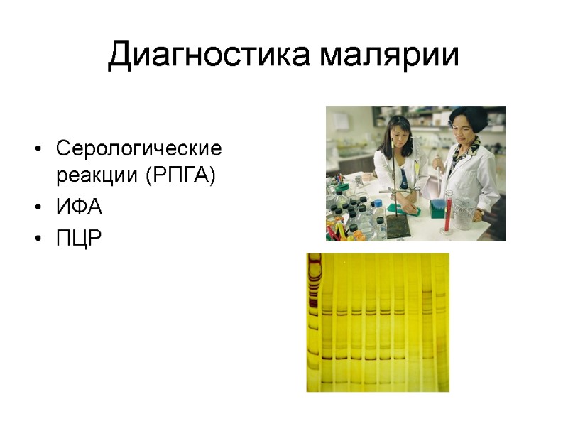 Диагностика малярии  Серологические реакции (РПГА) ИФА ПЦР